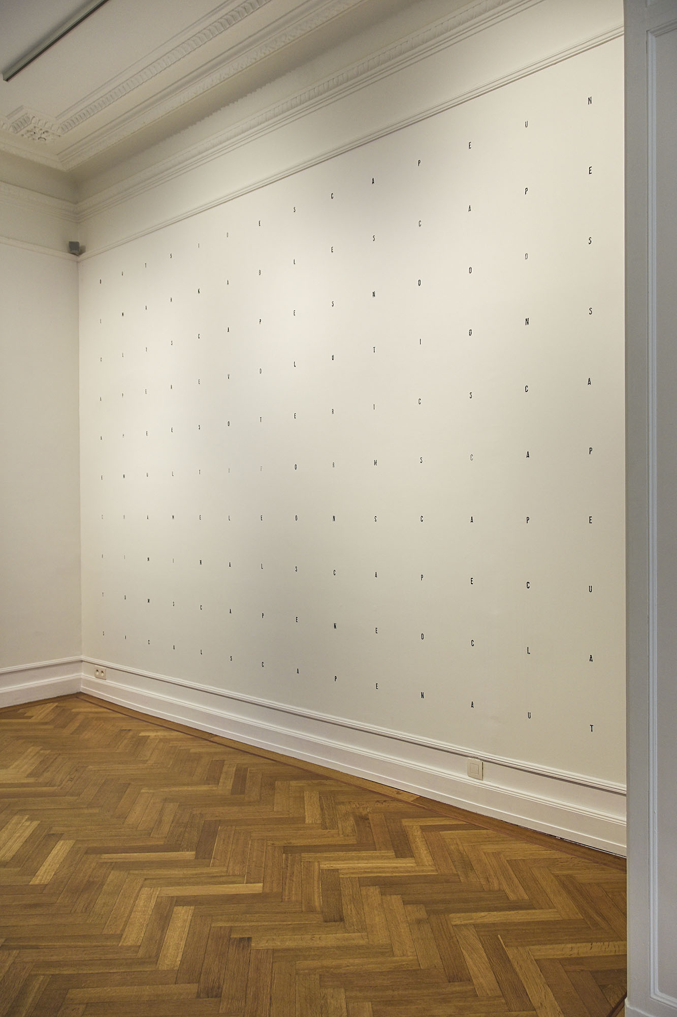 2016 06 16   In Situ  Huile et cachet sur mur